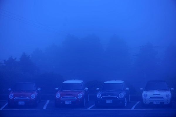 426 550 16 DSC_1449.jpg